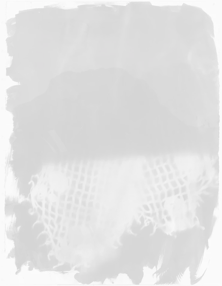 Βαλίνια Σβορώνου &quot;The White Rose VII&quot;, 2022, Cyanotype, 75 x 50 cm, courtesy the artists and Callirrhoë, Athens
