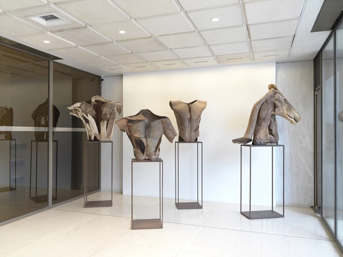 Αλεξάνδρα Αθανασιάδη Ωνάσειο