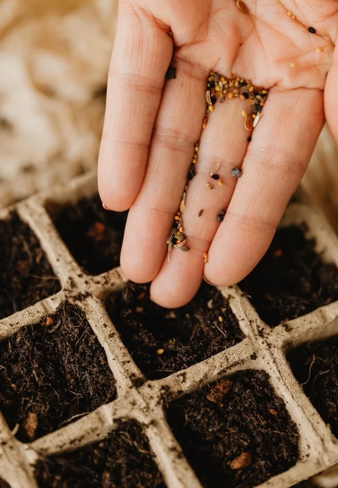 Μουσείο Γουλανδρή σπορά