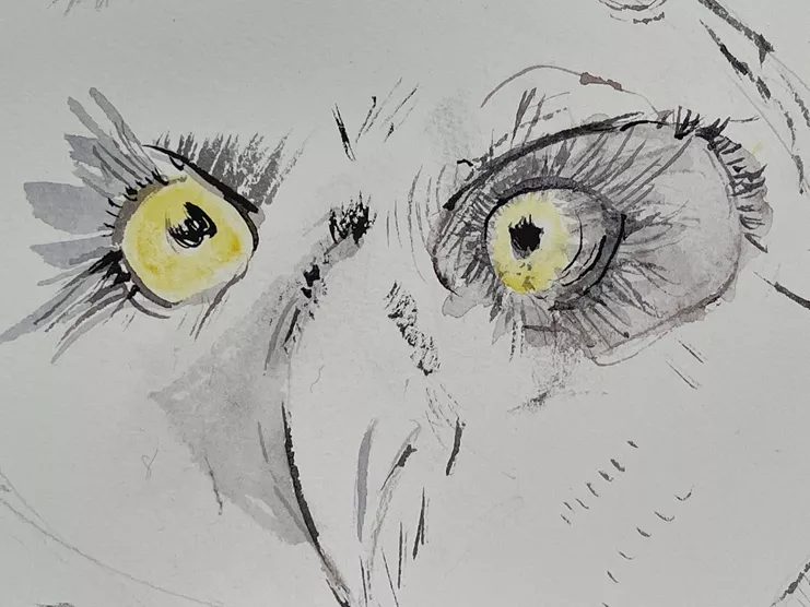 Μάρω Μιχαλακάκου, «Λεπτομέρεια In Orbit» (Specimen 19), 2021. Ακουαρέλα σε χαρτί 50 x 145 εκ. Με την ευγενική παραχώρηση της καλλιτέχνιδος