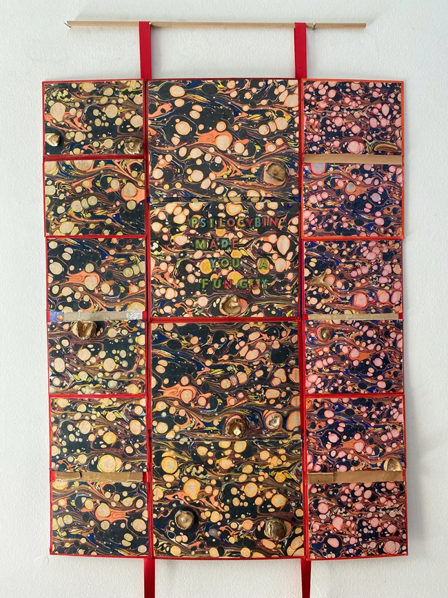 Bookscape XIV- Psilocybin Made You a Fun Guy 2023