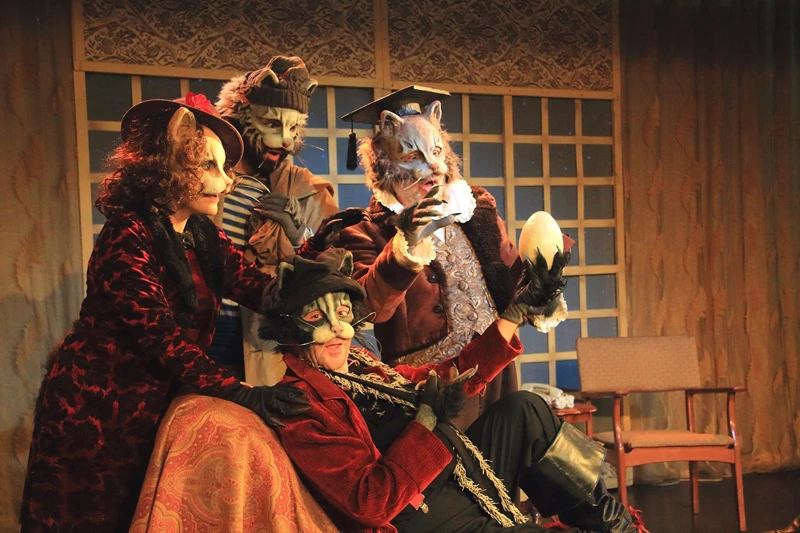 Η ιστορία του γάτου που έμαθε σ’ ένα γλάρο να πετάει