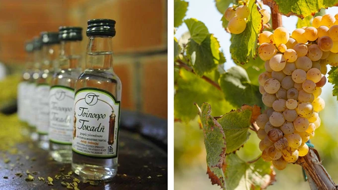 Τσίπουρο Τοκαλή