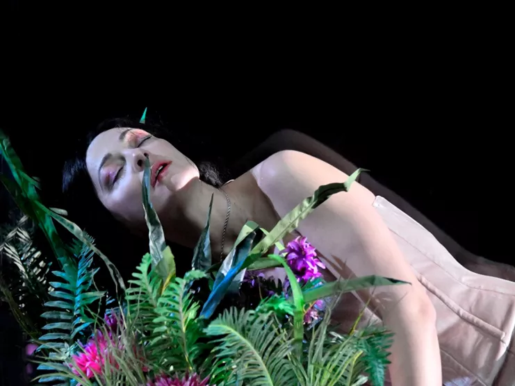 Amalia melancholia η βασίλισσα των φοινίκων