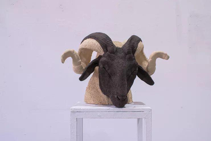 Βιβή Κασαρά «capricious»