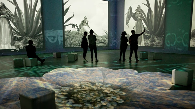 Frida Kahlo Beyond the Icon