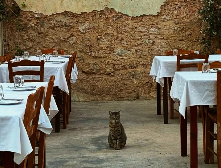Γεύση υπό σκιάν σε αυτές τις ταβέρνες με αυλή στην Αθήνα