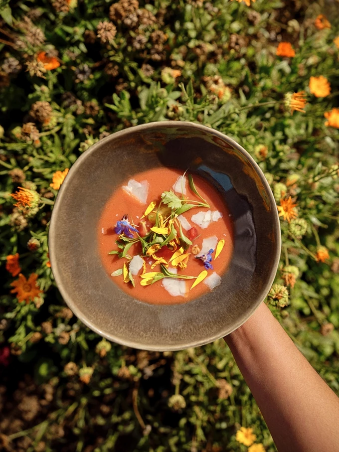 Το καλύτερο οινοποιείο στον κόσμο, το Vik στη Χιλή 14