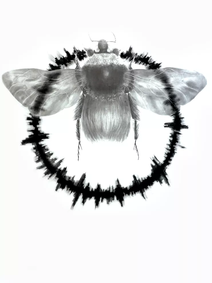 Ion Rudolf, graphite &amp; pastel on paper. 150 x 150 cm