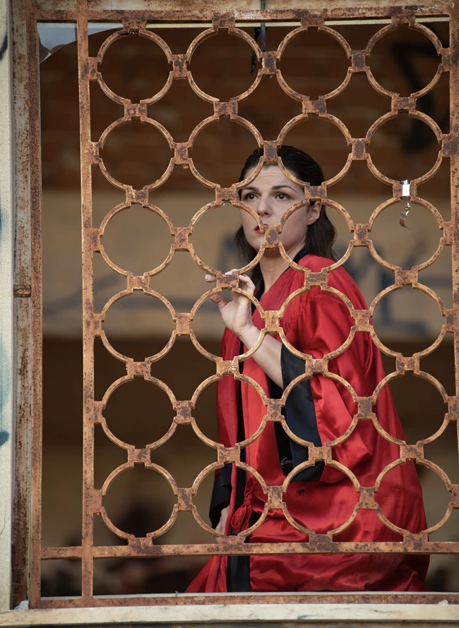 Το μπορντέλο Της Μαντάμ Ρόζας