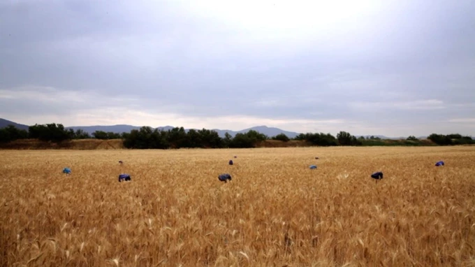 Επιστροφή στη Γη