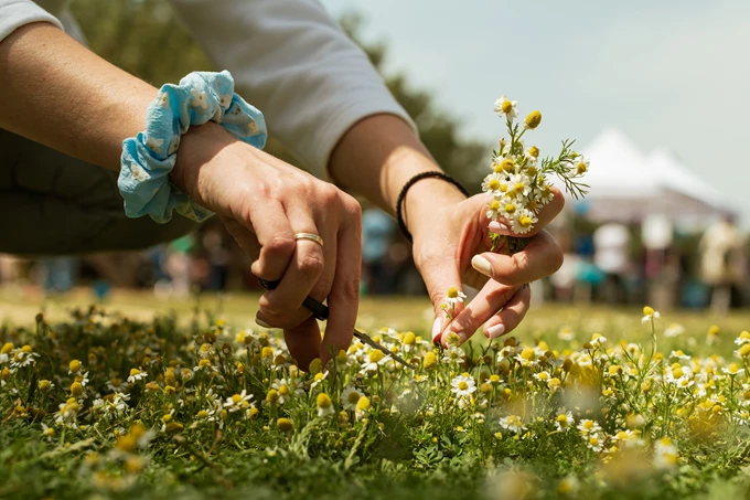 Φεστιβάλ του Δήμου Αθηναίων