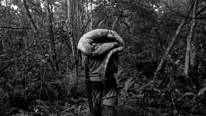 Προς τα Δυτικά, στη Ζαπάτα