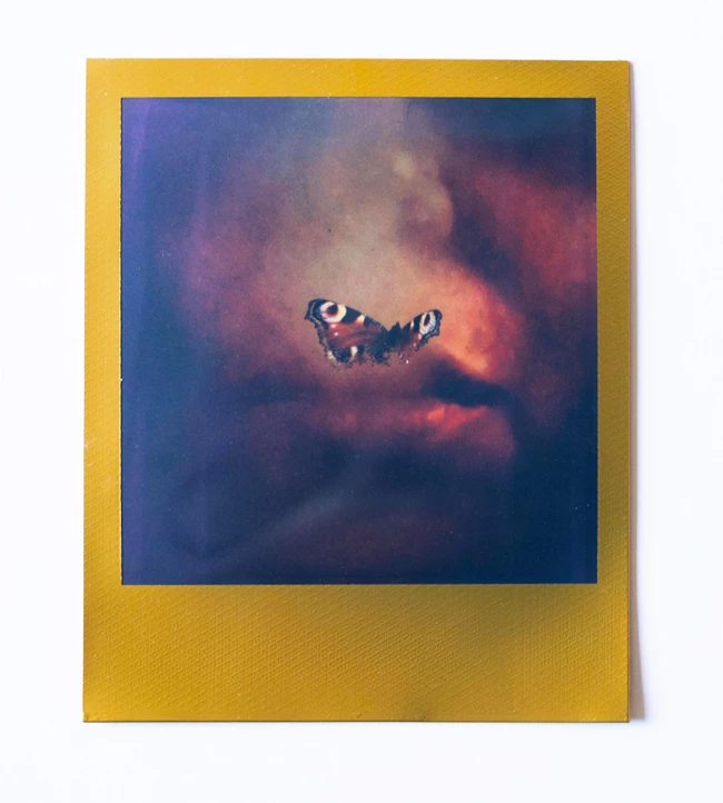 Χλόη Ακριθάκη Βίβιαν Αβρααμίδου Πλούμπη Και τώρα οι δυο μας