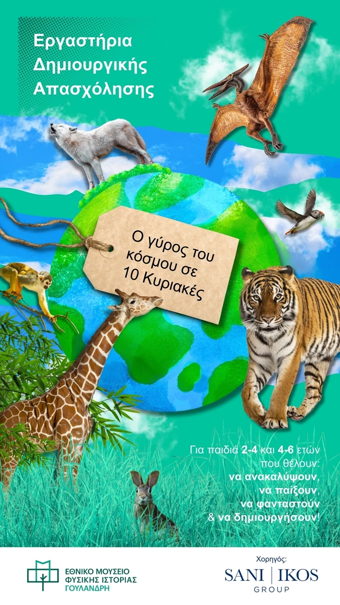 ΦΩΤΟΓΡΑΦΙΑ ΔΤ