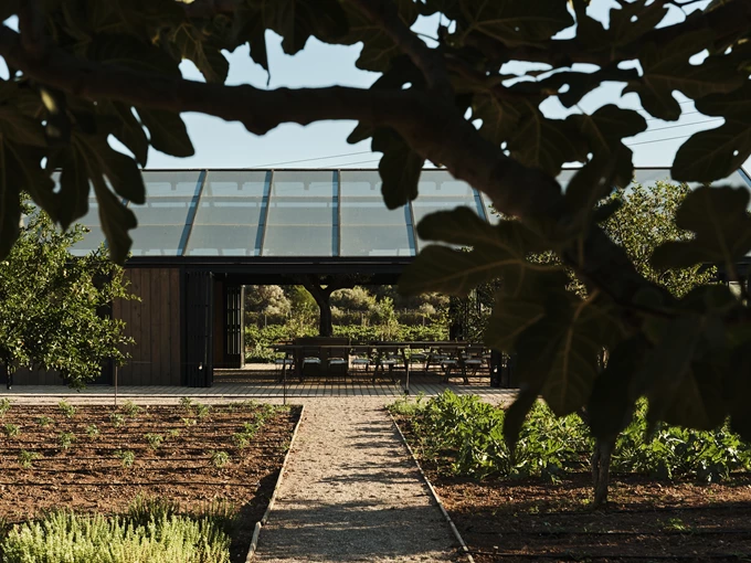 The Margi Glasshouse