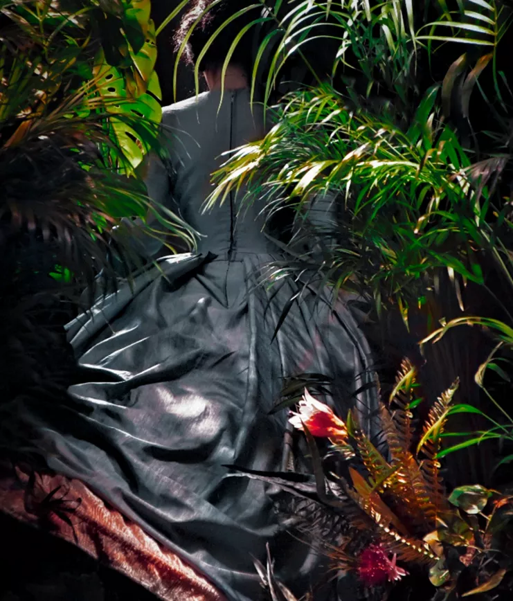 Amalia melancholia η βασίλισσα των φοινίκων