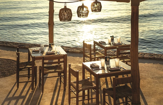 Taverna 37