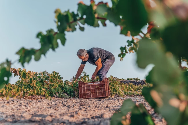 Hatzidakis Winery