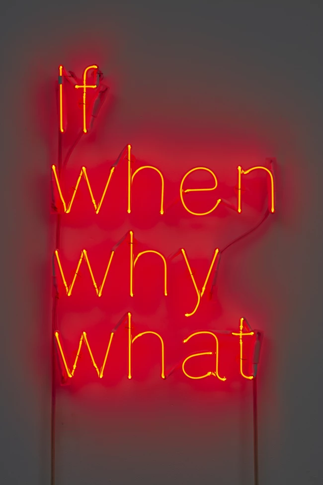 David Gordon Neon Ark