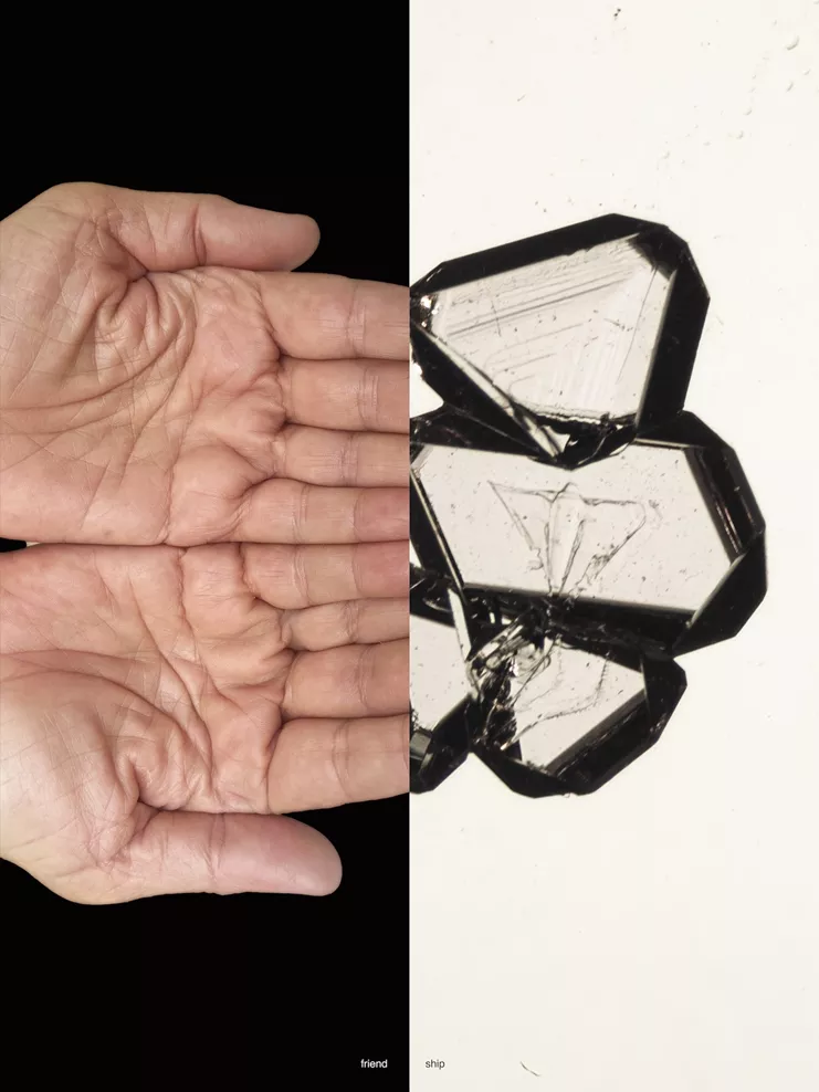 Lenora de Barros &amp; Camila Sposati, Friend Ship, 2025, Fine Art Print on Hahnemühle Photo Rag Ultra Smooth 305g, 40 × 30 εκ., Ed. 25 + 5 AP. Παραχώρηση των καλλιτεχνών και and the editions