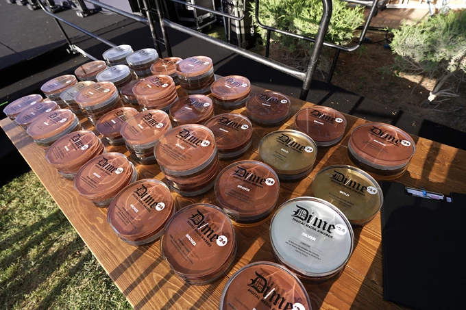 Digital Media Awards 2024