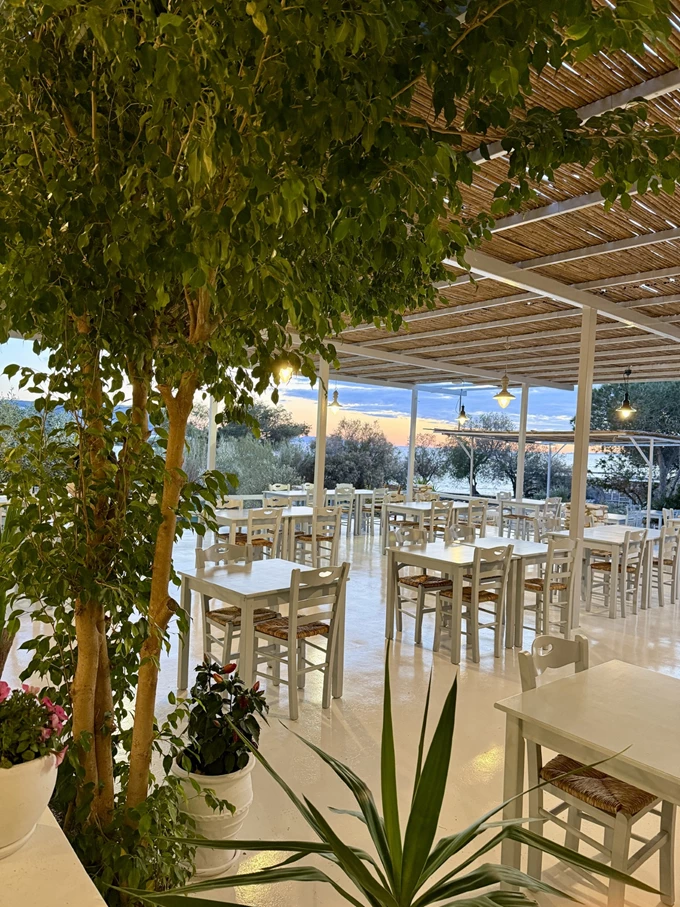 Η ταβέρνα Δελφίνι στη Σύρο 3