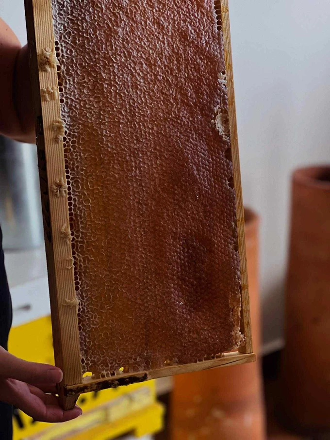 Μελισσοκομία Κως