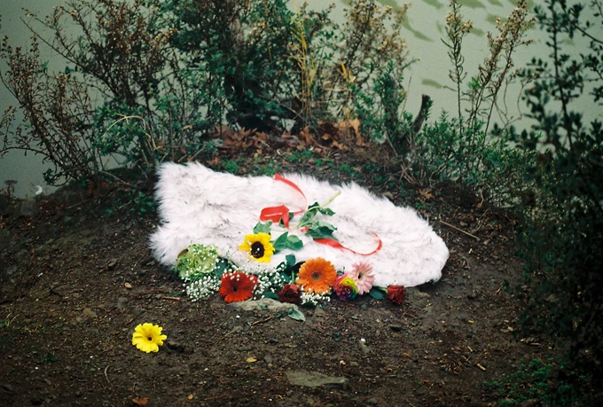 Κίτρινο Φεγγάρι