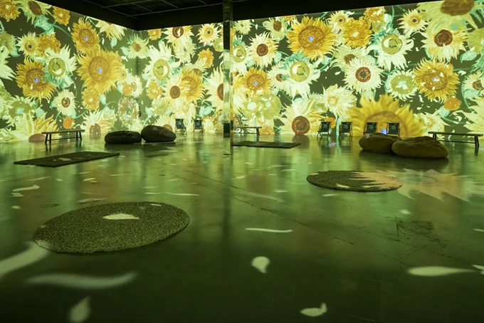 Van Gogh The Immersive Experience