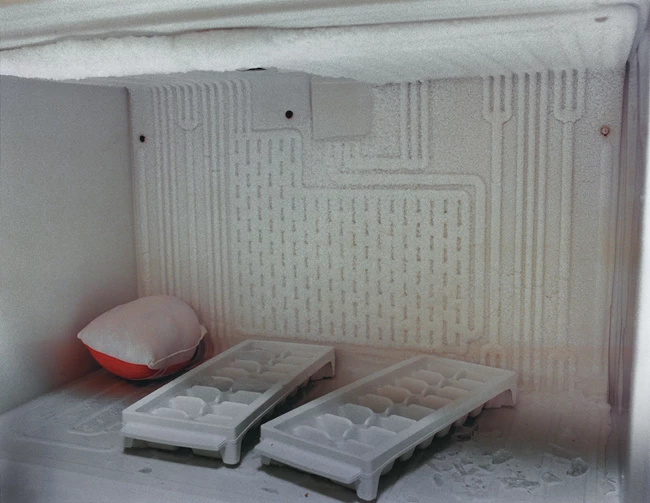 Συλλογή Νίκου Αλεξίου Μουσείο Μπενάκη, Πάνος Κοκκινιάς Home 02, freezer, 1994-1995 archival c print Μουσείο Μπενάκη ΓΕ 46495