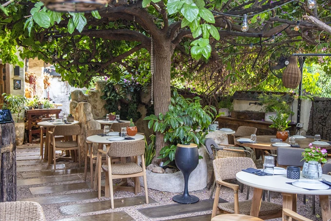 Οι Λεύκες στο Γαλάτσι 4