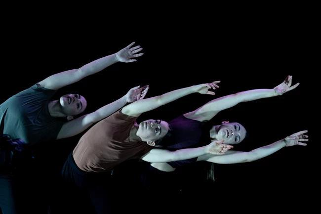 2 routes - Dance Company Mazi