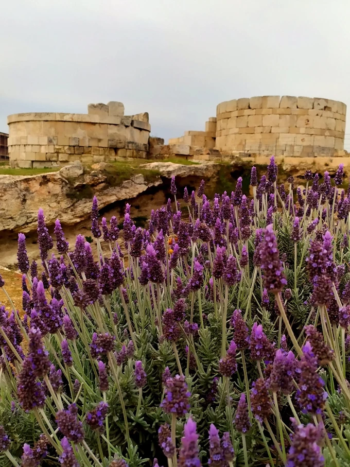 Φεστιβάλ Αρχαίος Πειραιάς 1