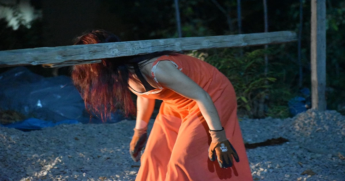 Η αλεπού θα ξανάρθει