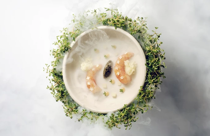 Χρυσοί Σκούφοι 2026_Patio