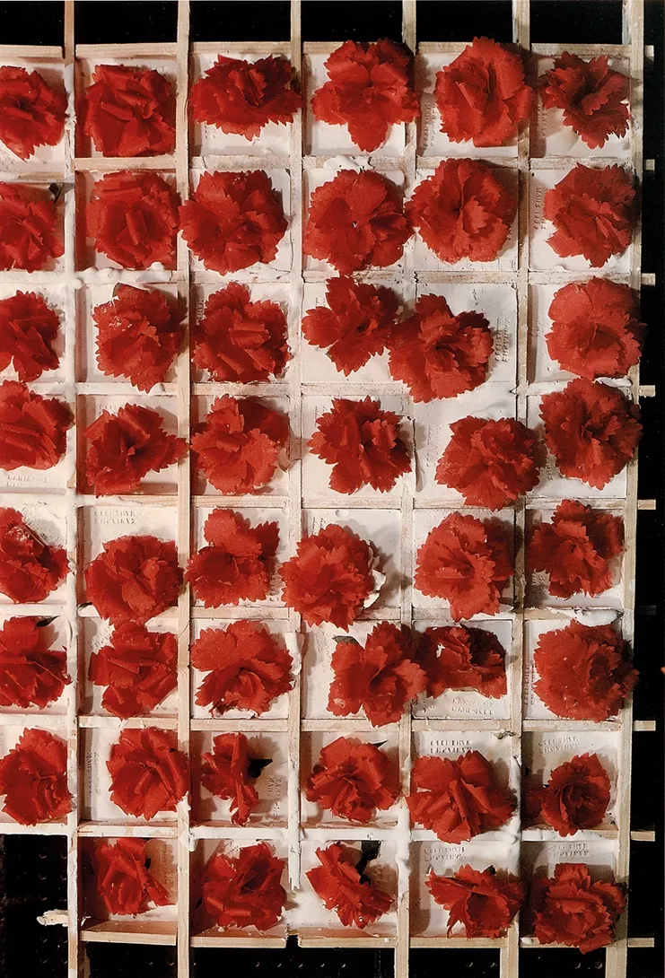 Βλάσης Κανιάρης, Χωρίς τίτλο, 1969, γύψος σε ξύλινο πλέγμα και φυτεμένα κόκκινα γαρίφαλα, 100 x 53 x 6 εκ, Ιδιωτική Συλλογή