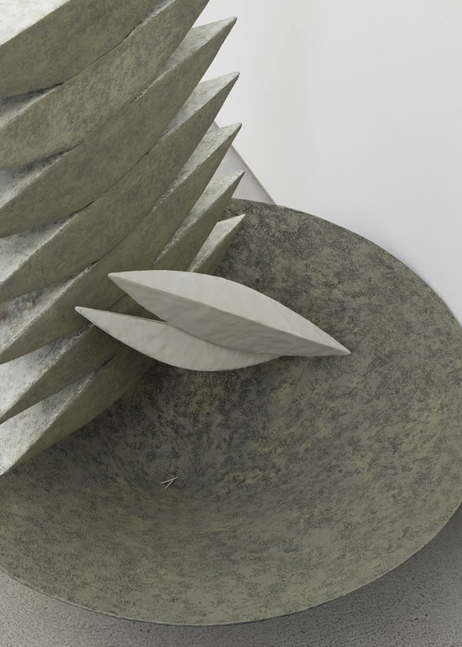 Stella Zhong Inertia
