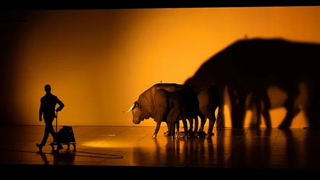 Εγκάρσιος προσανατολισμός