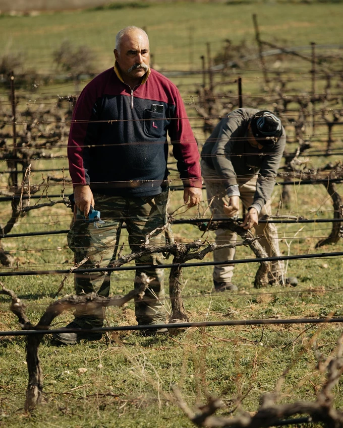 ΚΤΗΜΑ ΡΟΥΣΣΟΣ, ΠΑΡΟΣ 3