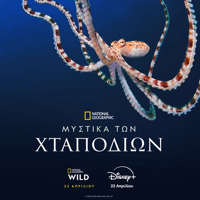 The Walt Disney Company