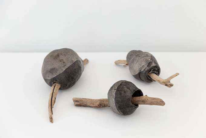 Maria Jole Serreli, Prodromi taurini, Ikigai Series, 2021