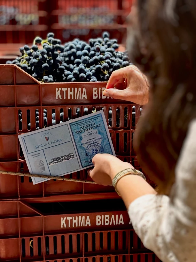 οινοτουρισμός