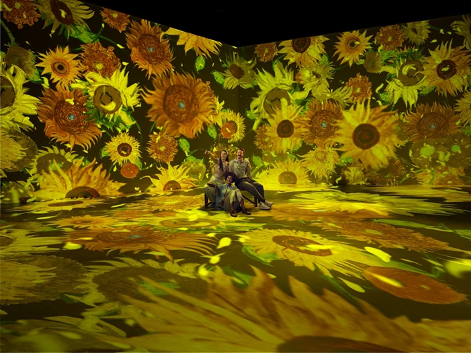 Van Gogh The Immersive Experience