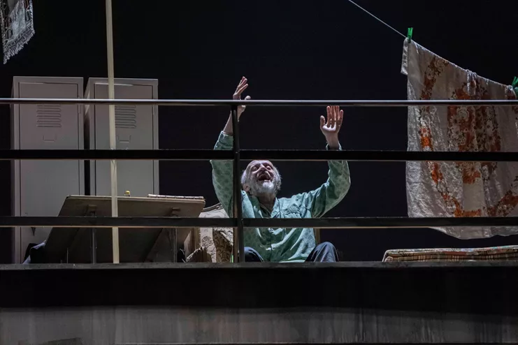 Η αυλή των θαυμάτων - Το μιούζικαλ