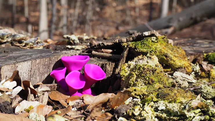 Kat Austen-Time to Break Down (Echoes of the Palaeoplasticene)-2022