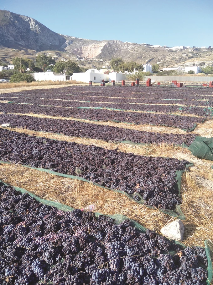 8 ελληνικά οινοποιεία που αξίζει να επισκεφθείς_Κάναβα Ρούσσος 4