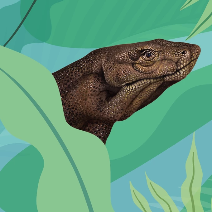 Guido Daniele Handimals