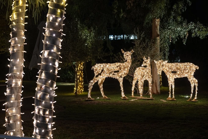 The Ellinikon North Pole Express