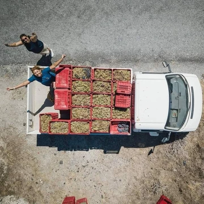Τρύγος Mikra Thira